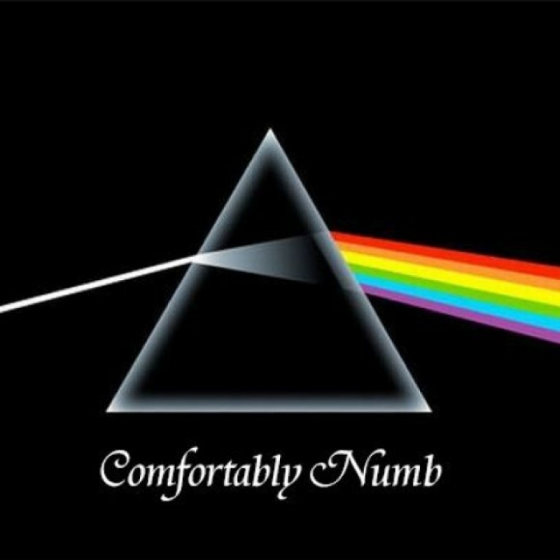 Pink Floyd - Comfortably Numb