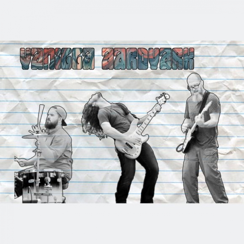 Vanilla Aardvark - Boomerang